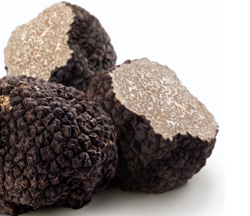 Truffels in Le Marche Truffels, het goud van Le Marche