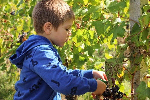 Wat te doen kinderen le marche